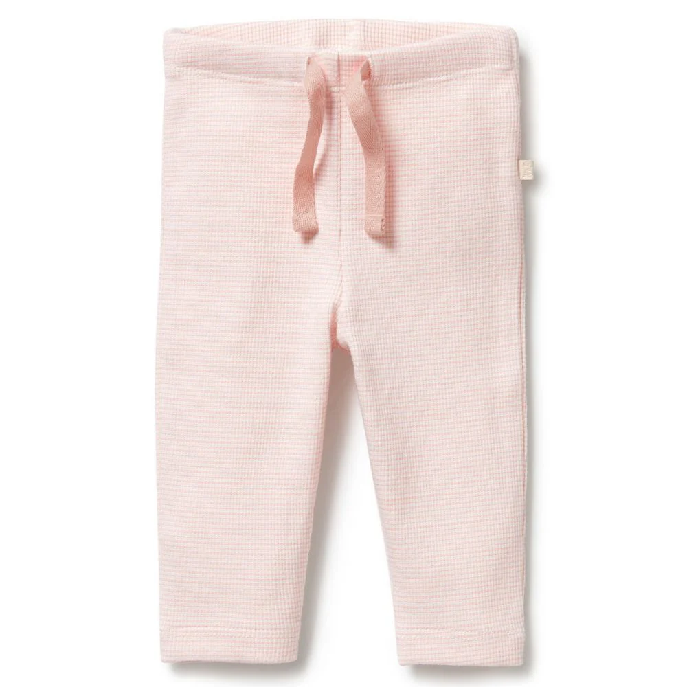 Wilson & Frenchy Organic Stripe Rib Legging - Cantaloupe