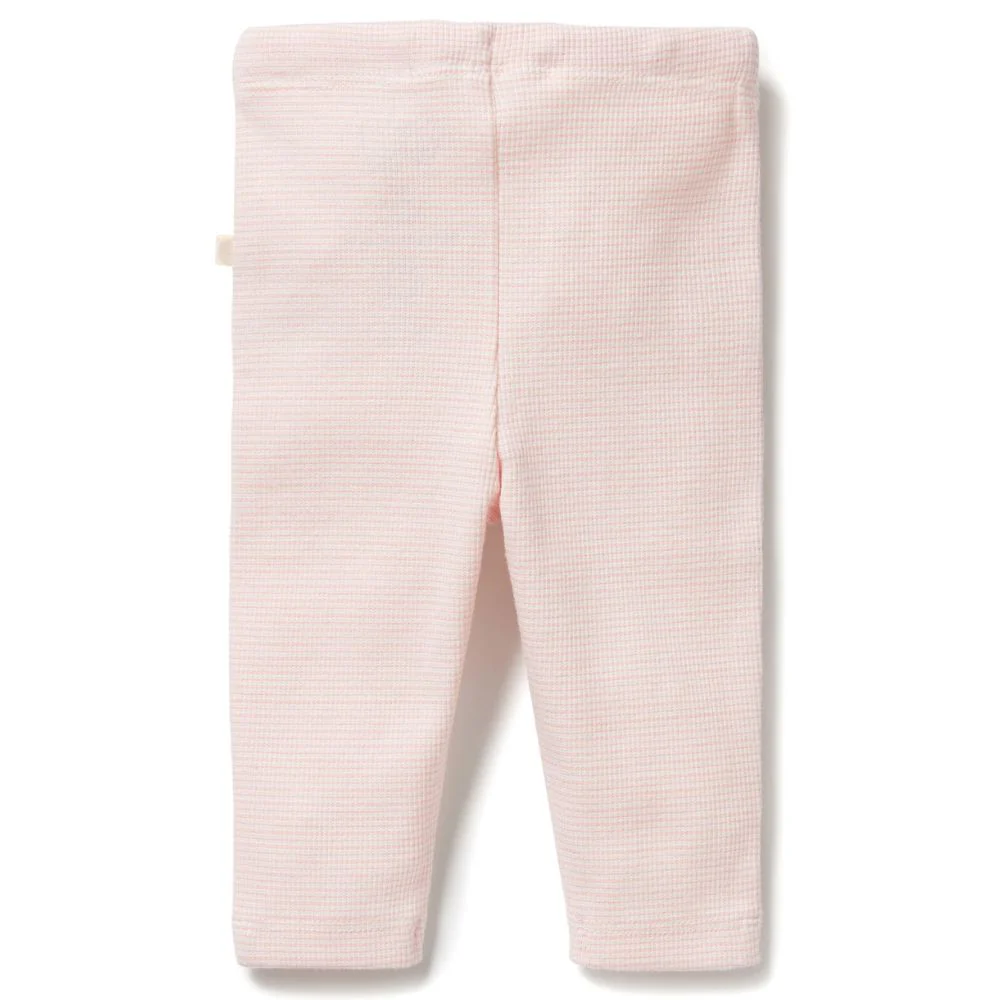 Wilson & Frenchy Organic Stripe Rib Legging - Cantaloupe - Image 2