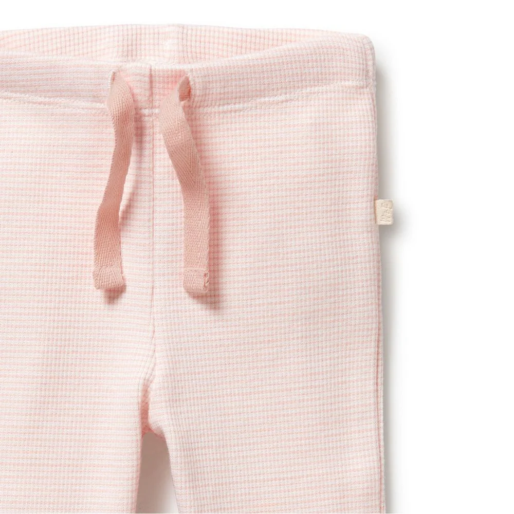 Wilson & Frenchy Organic Stripe Rib Legging - Cantaloupe - Image 3