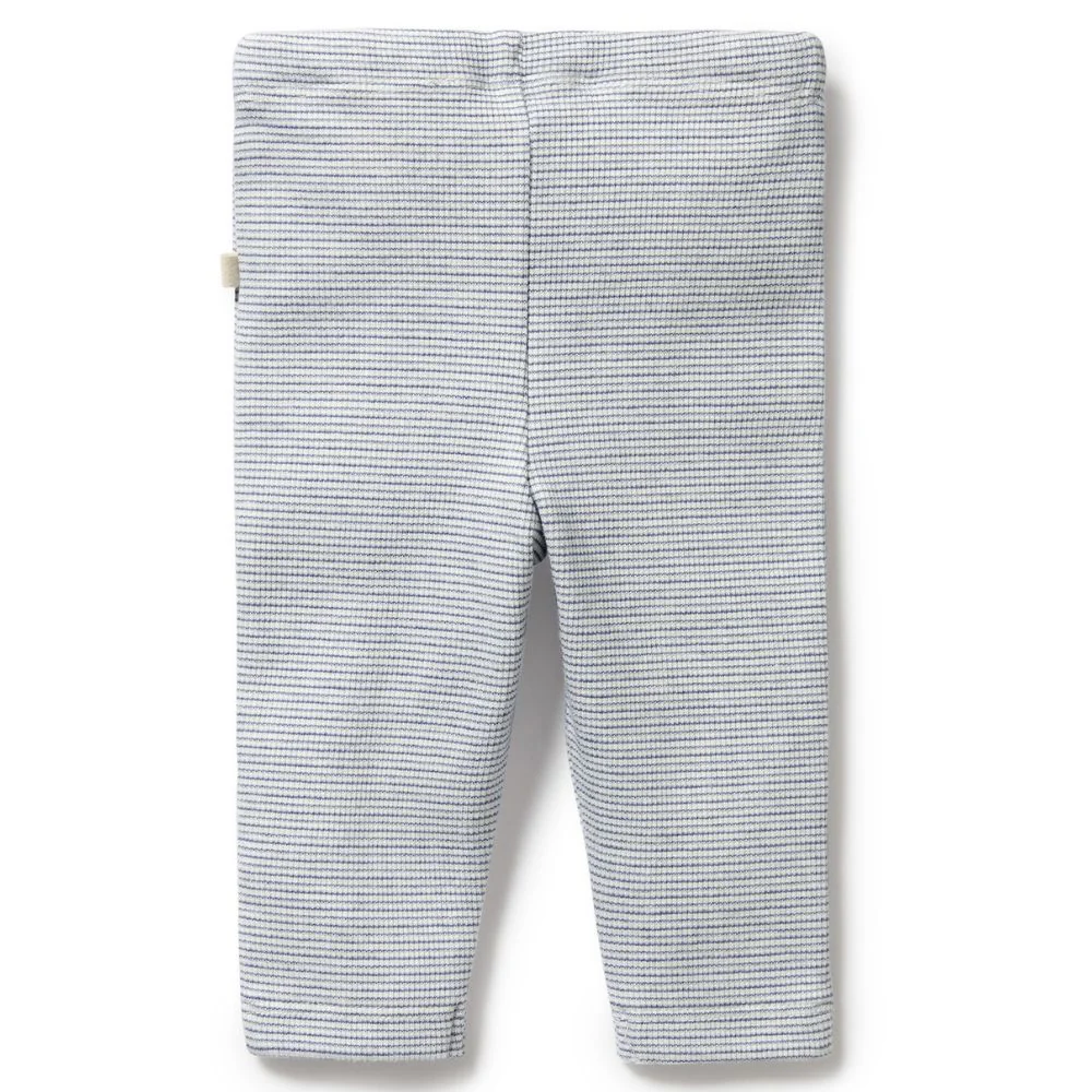 Wilson & Frenchy Organic Stripe Rib Legging - Rain Drop - Image 3