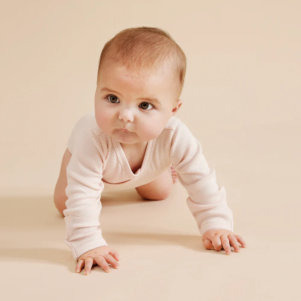 Wilson & Frenchy Organic Stripe Rib Wrap Bodysuit - Cantaloupe - Image 2