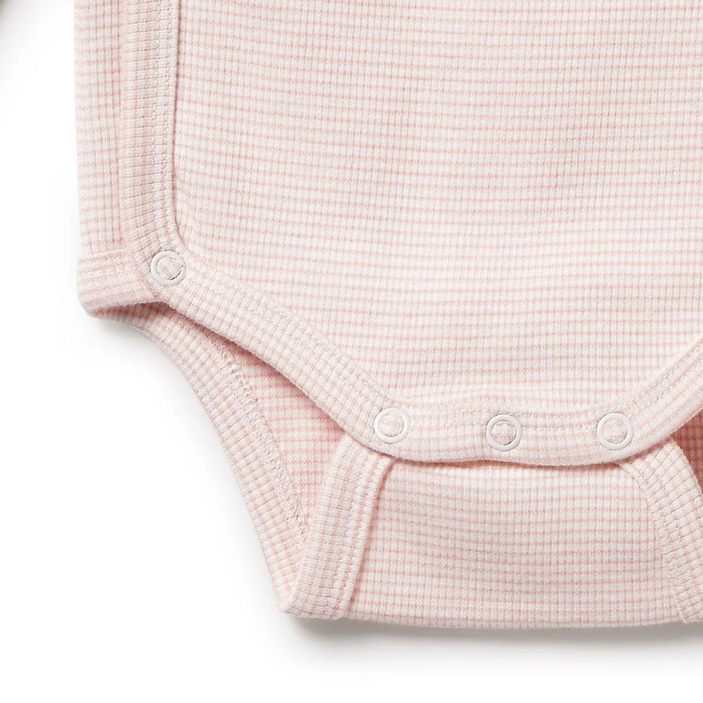 Wilson & Frenchy Organic Stripe Rib Wrap Bodysuit - Cantaloupe - Image 5