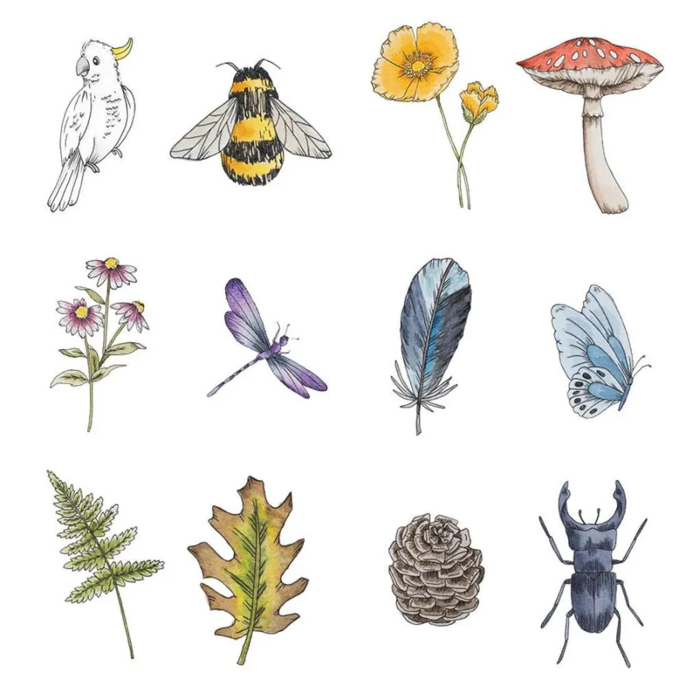 Your Wild Memory Card Game - Image 7